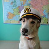 Avatar de Usuario